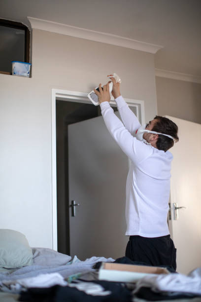 Best Basement Mold Removal  in Skyline, AL