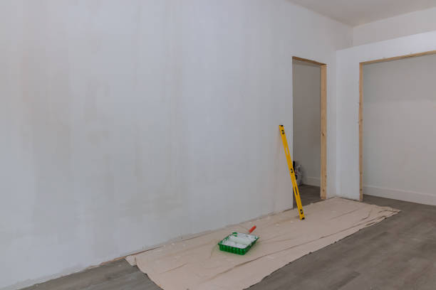 Trusted Skyline, AL Mold Removal Experts