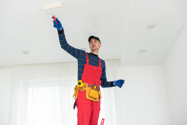 Best Real Estate Mold Inspection  in Skyline, AL