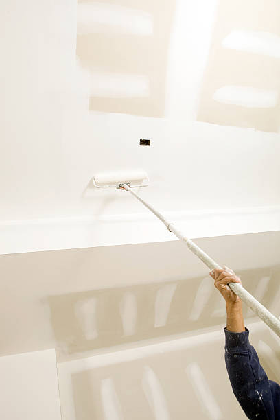 Best Mold Prevention Services  in Skyline, AL