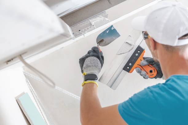 Best Mold Damage Restoration  in Skyline, AL